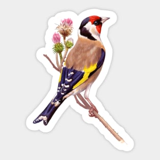 European Goldfinch Sticker